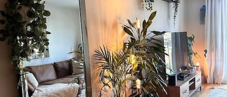 A modern living room with a large mirror, a sofa, a coffee table, and various plants.