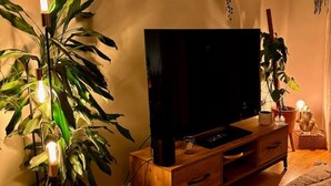 Olohuoneessa on puinen TV-taso, suuri litteänäyttöinen televisio ja useita ruukkukasveja.