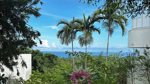 Property grounds - Peaceful Hillside Retreat with Pool. (Ocho Rios)