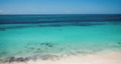 Reef House Abaco - Tranquil Beach Retreat Perfect for Large Groups