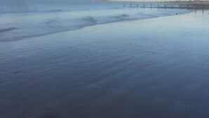 Una playa con un muelle de madera que se adentra en aguas tranquilas.