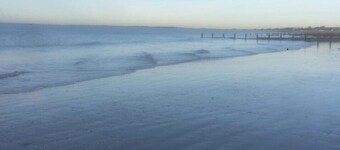 Spacious beach bungalow, less than 5 minutes walk to the beach