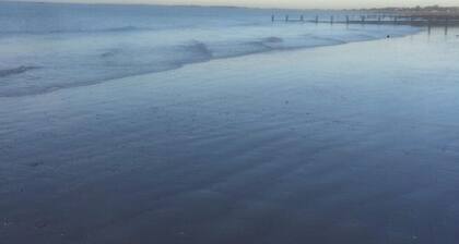 Spacious beach bungalow, less than 5 minutes walk to the beach