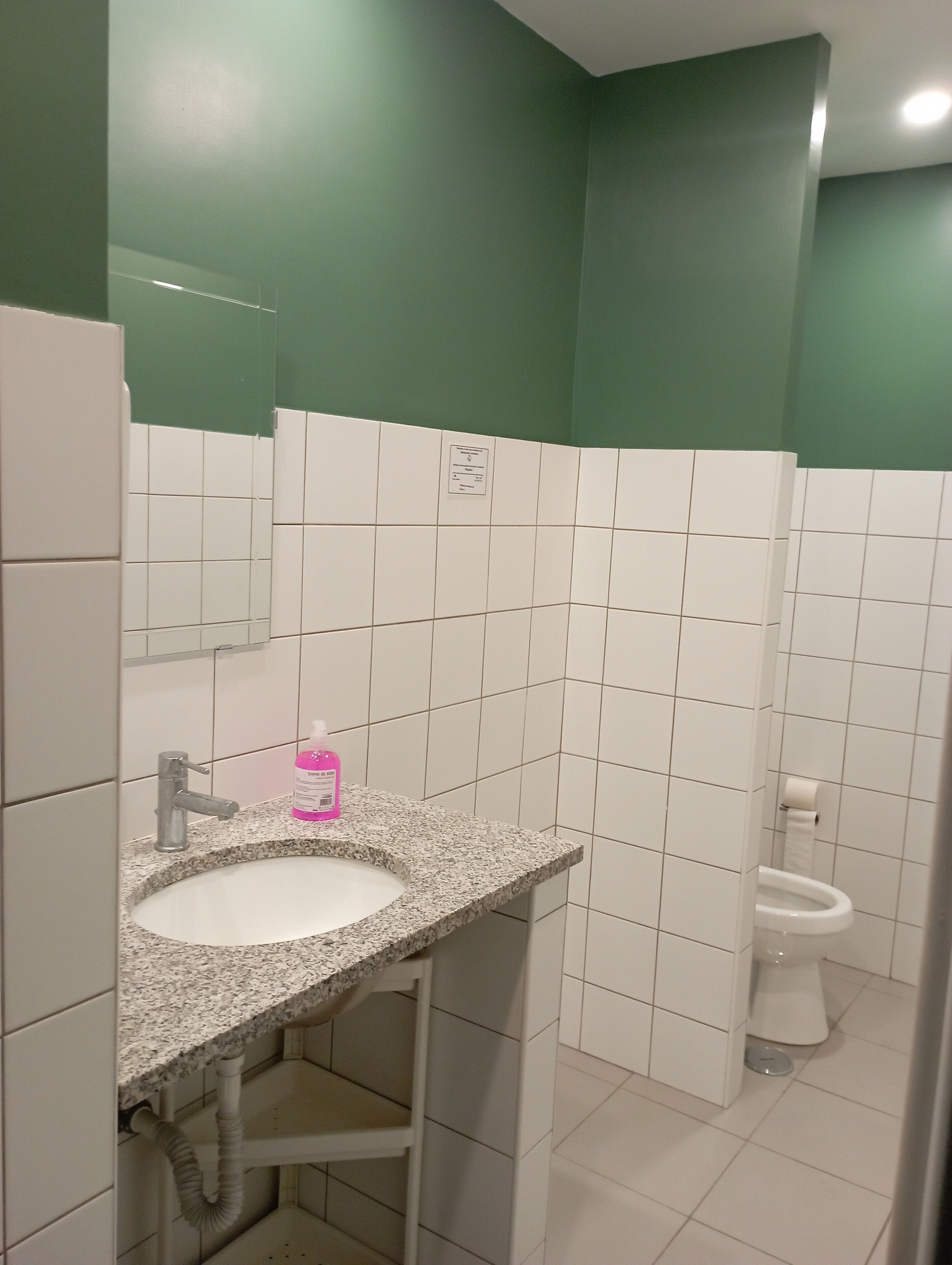 Un baño con lavamanos de encimera de granito, un espejo, inodoro y paredes verdes.