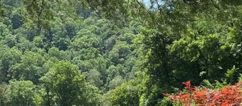 Historic Property in Hyden KY