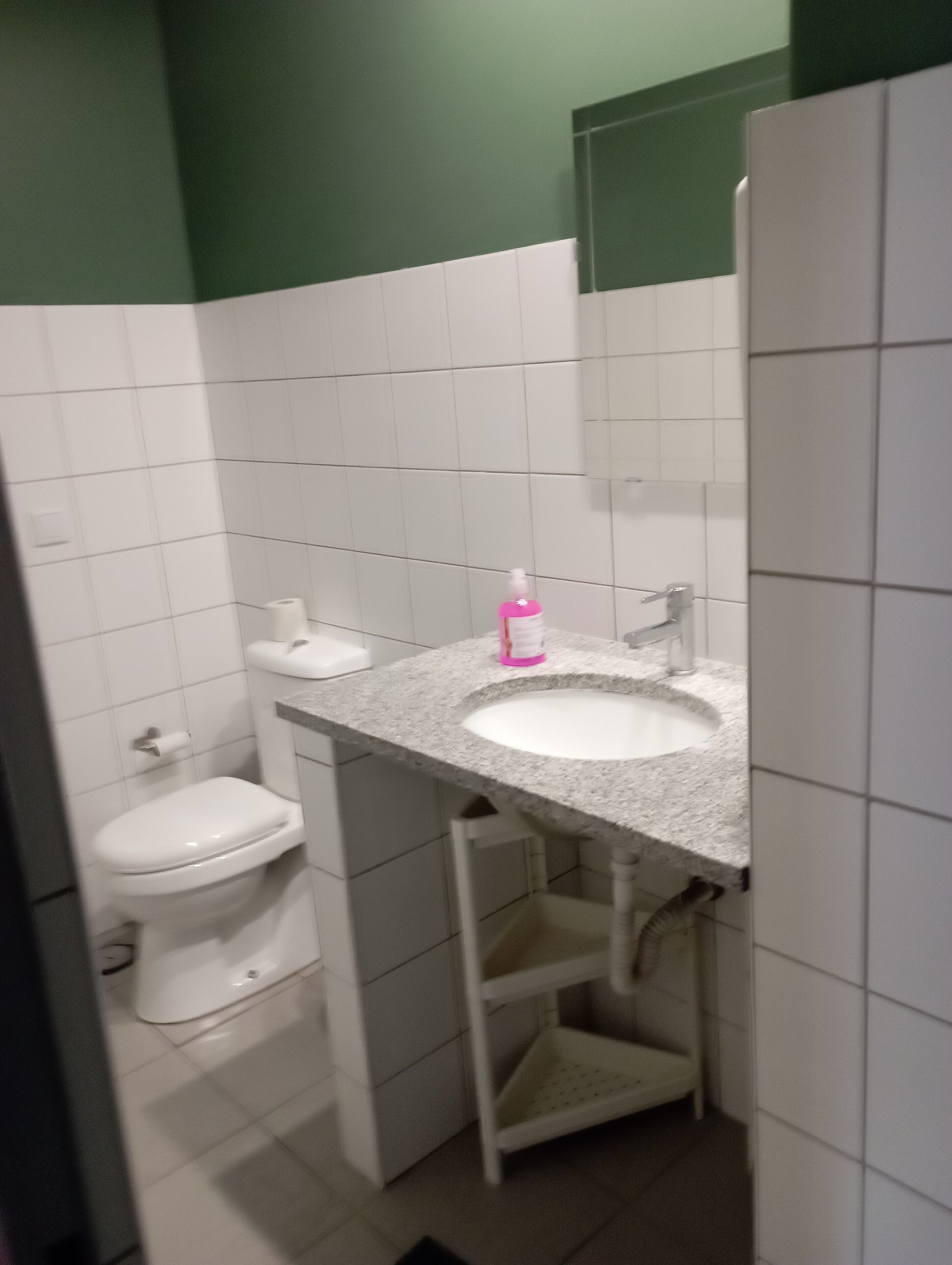 Een kleine badkamer met een witte wasbak, toilet en een spiegel boven de wasbak.