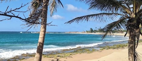 Playa