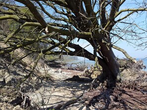 House | Miscellaneous