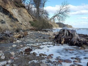 House | Miscellaneous