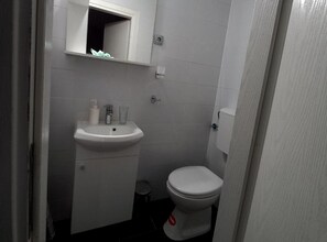 Une petite salle de bain compacte, avec un lavabo blanc, un miroir et des toilettes.