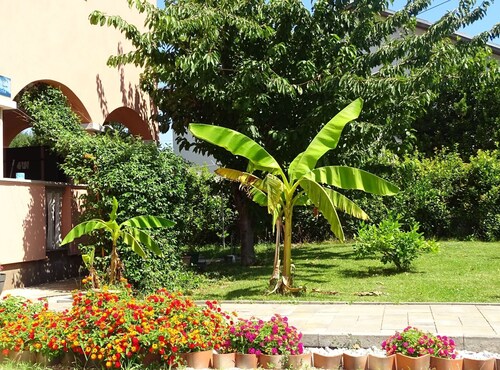 Apartmani Luna - Two Bedroom  Apartment