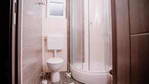 A bathroom with a toilet, a shower, and a mirror. - Mountain Serenity Rooms - Double Room with Balcony 1 (Korenica)