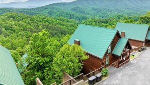 Une cabane dotée d’un toit végétalisé, entourée d’une forêt verdoyante et avec des montagnes en arrière-plan.