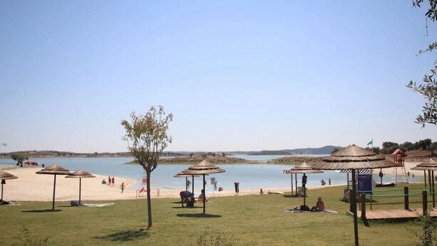 A beach with thatched umbrellas, a grassy area, and a clear view of the water.
