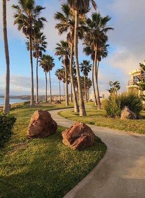 Property grounds - Tranquil 3-bedroom house with WiFi in Baja California (baja california)