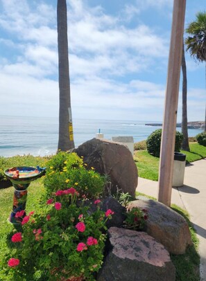 Property grounds - Tranquil 3-bedroom house with WiFi in Baja California (baja california)