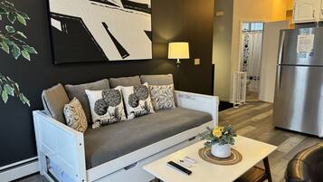 Smart TV, chimenea, reproductor de DVD y libros