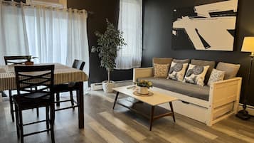 Smart TV, fireplace, DVD player, books
