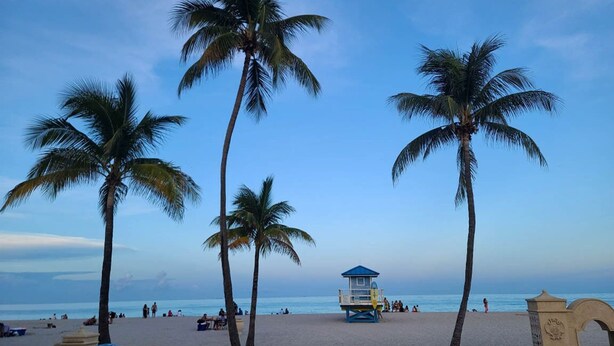A beach with palm trees, a lifeguard tower, and people relaxing.