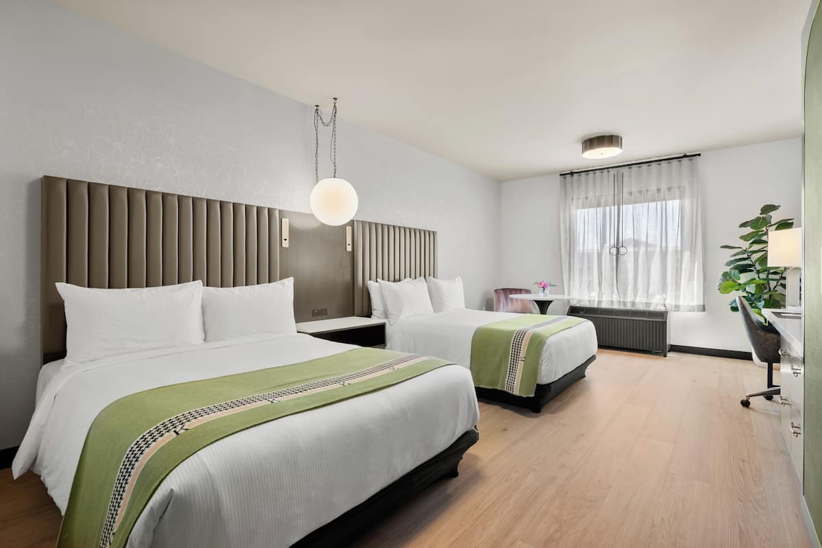 A hotel room with two beds, a large window with sheer curtains, a bedside table with a lamp, and a potted plant.