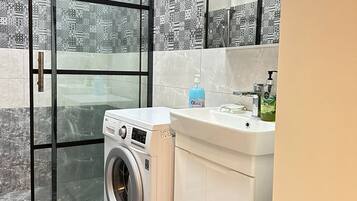 Shower, jetted bath, hair dryer, bidet