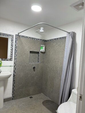 Towels, soap, toilet paper - 1 bedroom apartment in fabulous Provincia de Alajuela with WiFi, AC (Provincia de Alajuela)