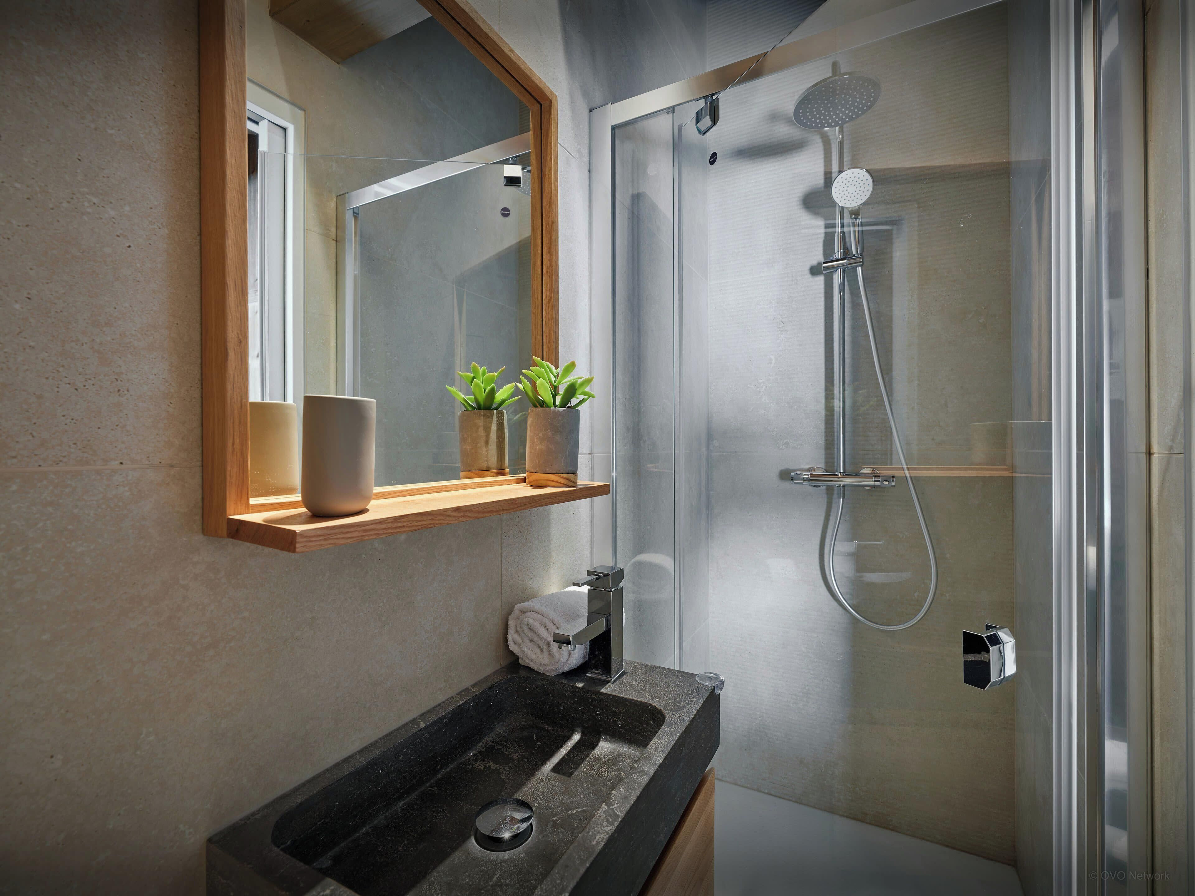 Une salle de bain moderne avec une douche à parois de verre, une étagère en bois ornée de plantes et un lavabo surmonté d’un miroir.