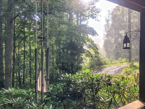 Property grounds - Secluded mountain hideaway w/ hot tub. Close to town and pet-friendly! (Jefferson)