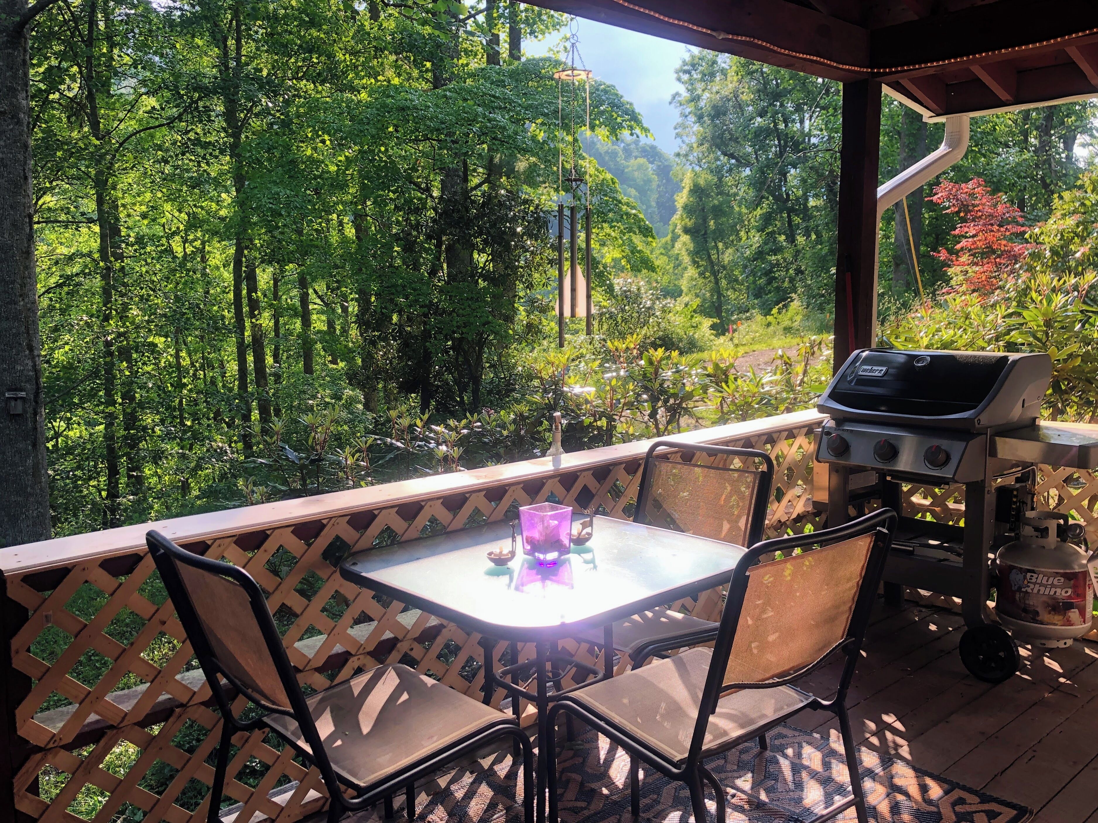 A covered outdoor area with a table and chairs, a grill, and a view of a forested landscape.