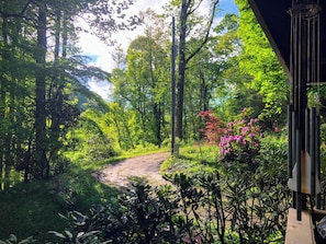 Property grounds - Secluded Mountain Cabin by the New River l Hot Tub + Game Room l Pet-friendly (Jefferson)