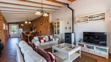 TV, fireplace, table tennis