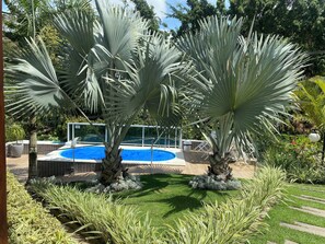 Pool - Beautiful Country House in Gravatá Condominium (Gravatá)