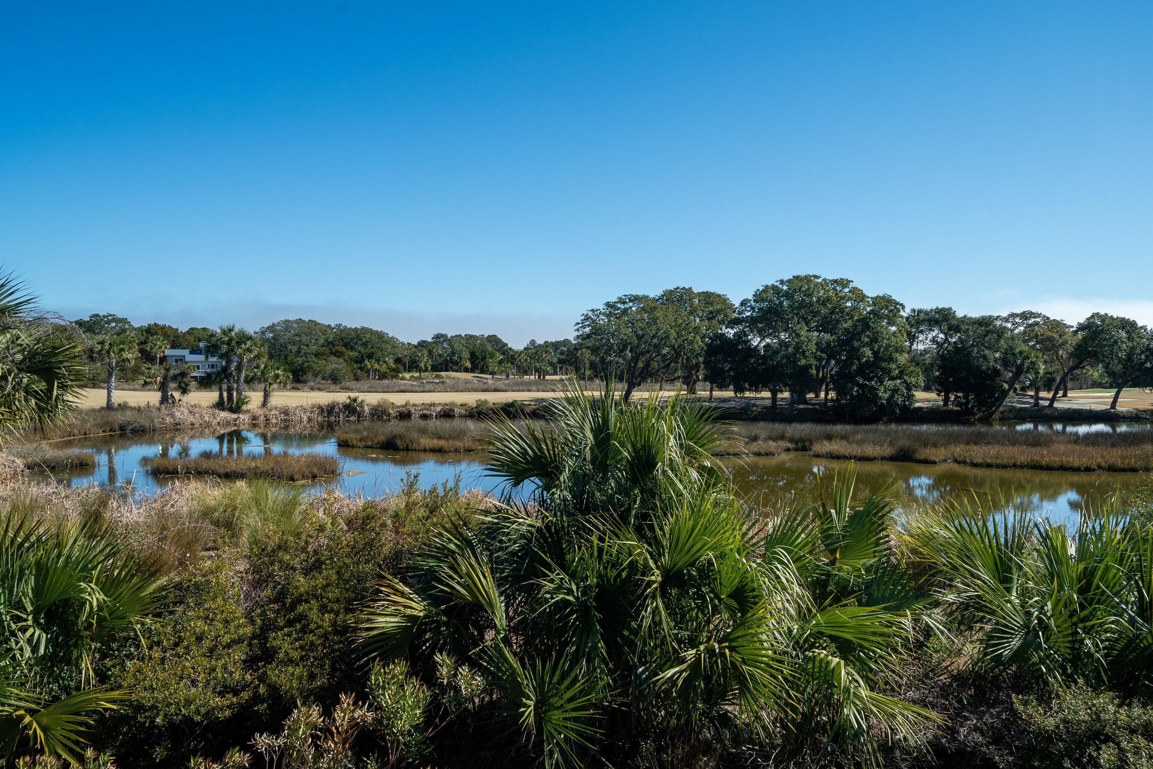 A natural landscape with a pond, trees, and a building in the background.
