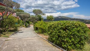 Uma trilha pavimentada, ladeada por vegetação exuberante e um edifício com fachada vermelha.