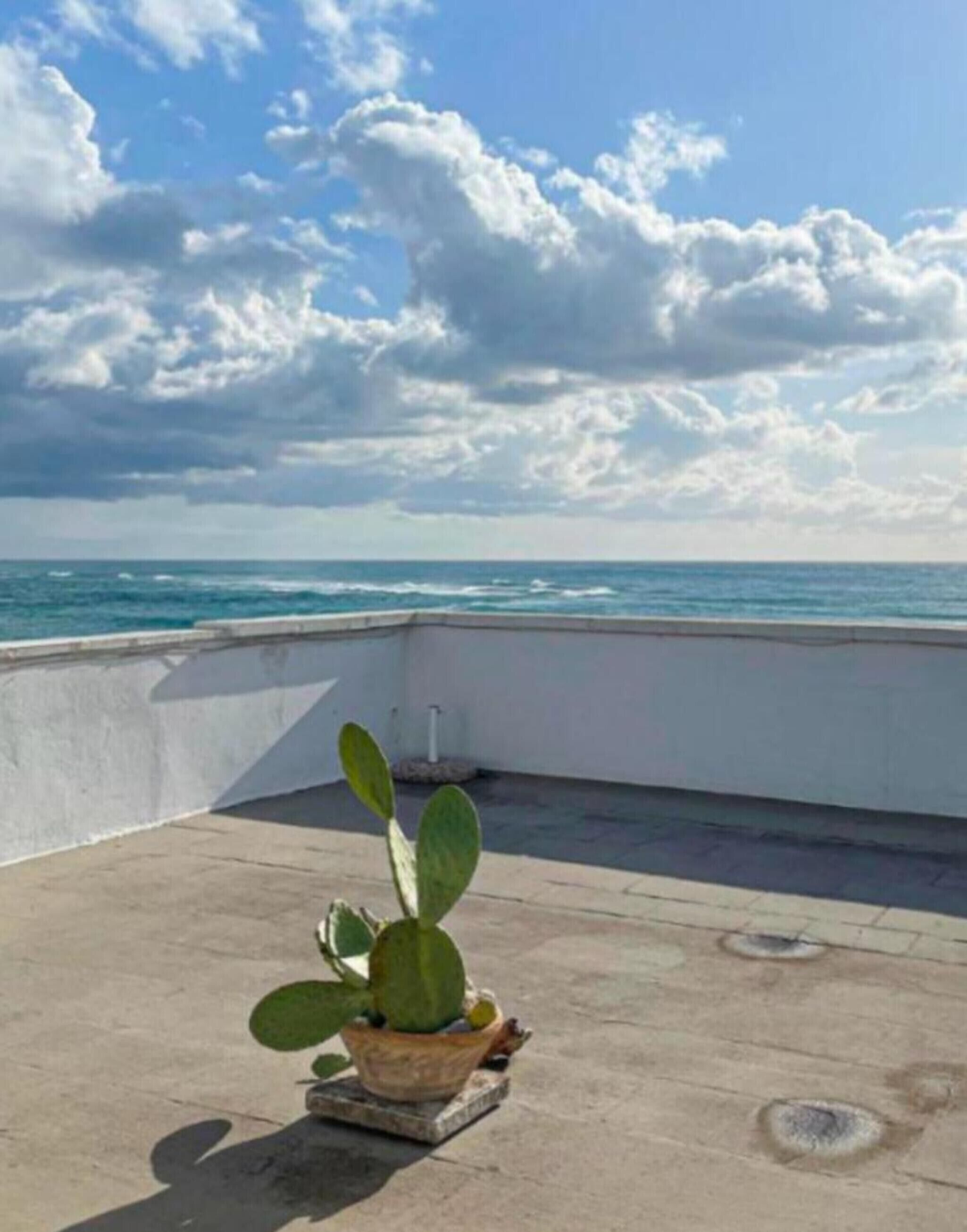 Een dak met een cactus in een pot, een betonnen vloer en uitzicht op de oceaan onder een bewolkte lucht.