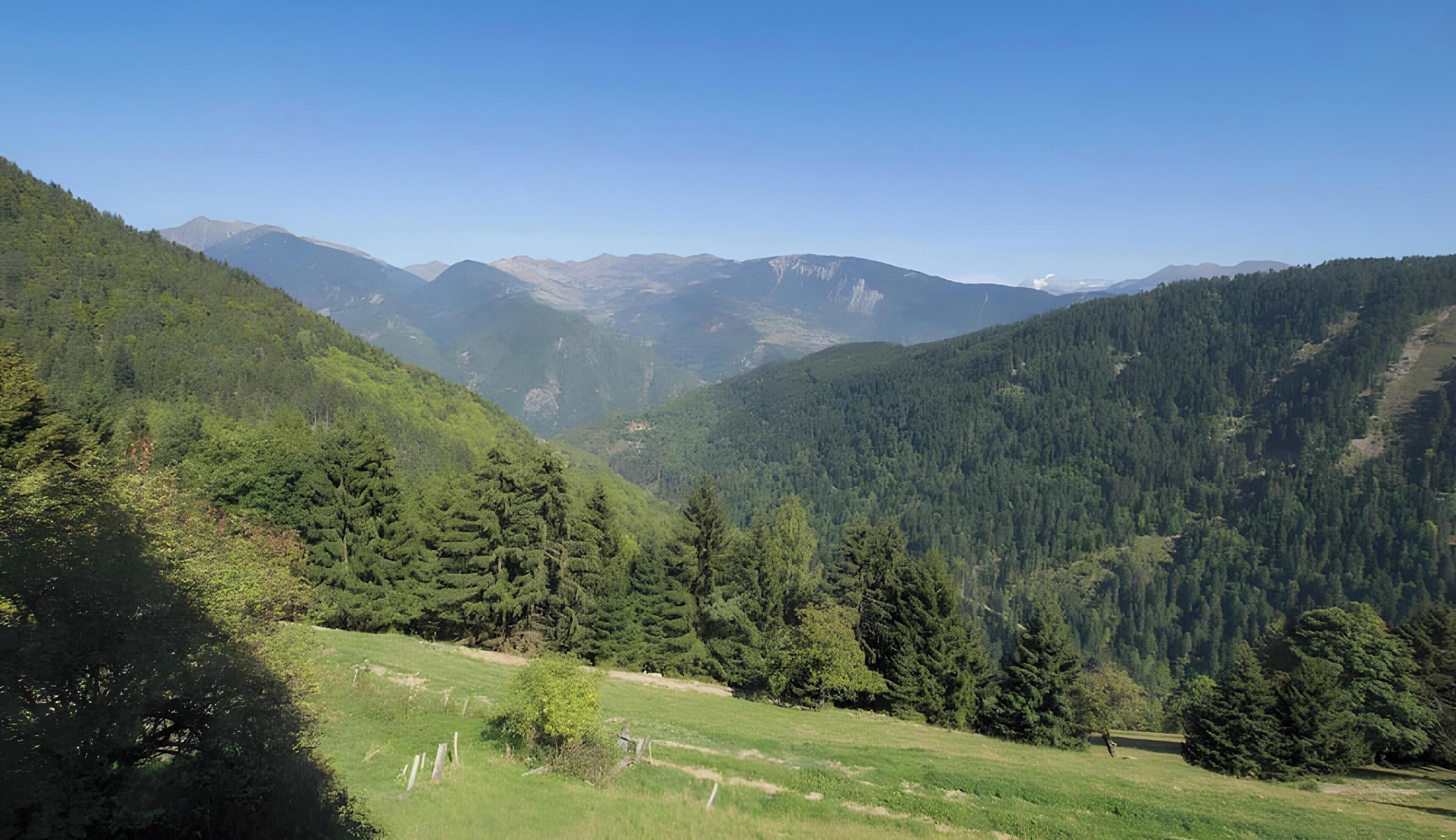 Un paysage montagneux, avec de vastes forêts et un ciel dégagé.