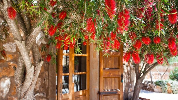 Uma porta de madeira com painéis de vidro, uma parede de pedra e uma árvore com flores vermelhas.