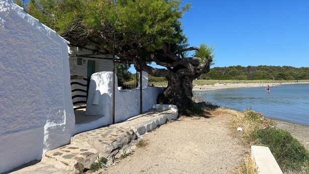 Un edificio costero con una escalera de piedra, un árbol frente a él y una playa al fondo.
