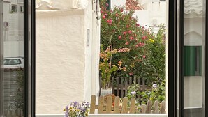Una ventana con vistas a un edificio blanco, una valla de madera y algunas flores.