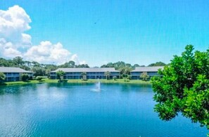 Property grounds - Charming, Mercato, North Naples Location, Short Drive to Vanderbilt Beach (Naples)