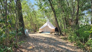 A tent set up in a forested area with a gravel path leading to it. - #Y3 Willow Tree - 1 Queen bed - No Pets Please (Drumheller)