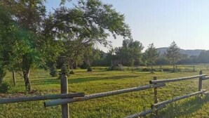 A fenced field with trees and a clear sky. - #Y3 Willow Tree - 1 Queen bed - No Pets Please (Drumheller)
