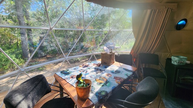 A dining area with a table covered in a dinosaur-themed tablecloth, surrounded by chairs, and a view of a forest through a large window.