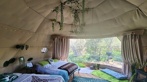 1 bedroom, WiFi, bed sheets - #D3 Rainforest Getaway Dome- 2 Dbl beds-No pets Please (Drumheller)