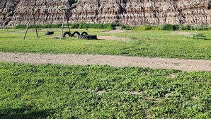A field with green crops and a rocky mountain in the background.