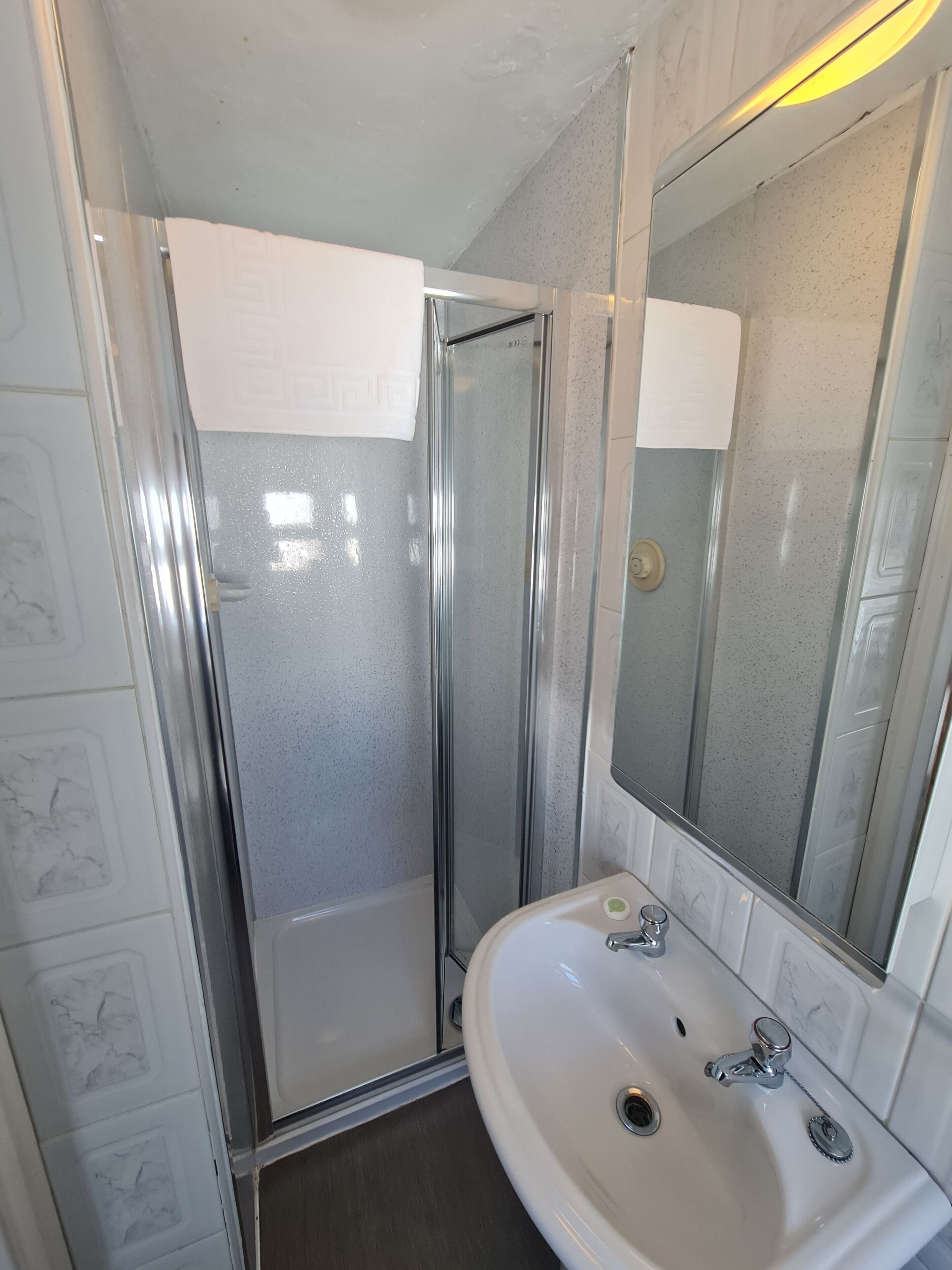 Une salle de bain avec une douche à parois de verre, un lavabo blanc doté de deux robinets et un grand miroir.