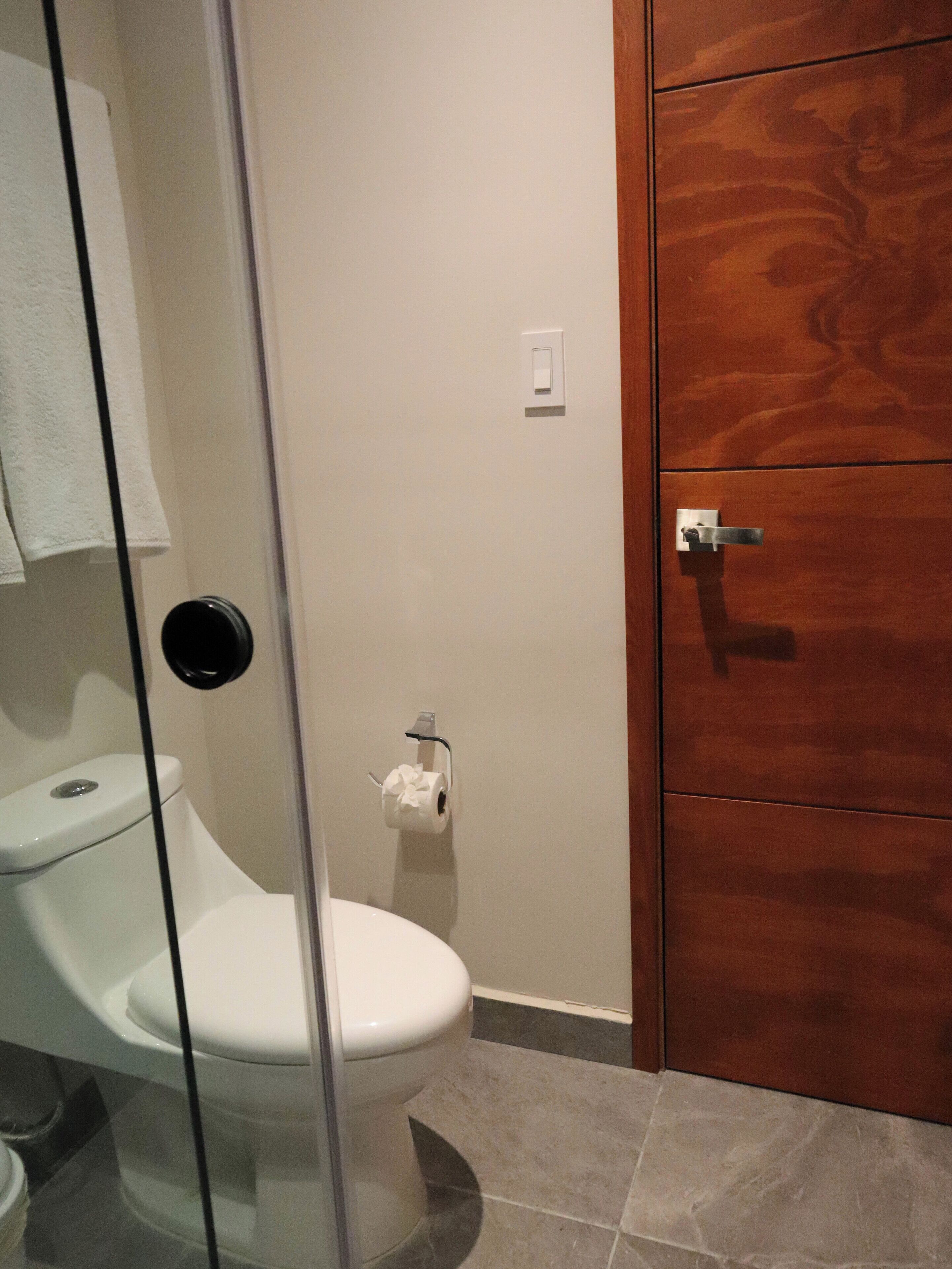 Ein Badezimmer mit Toilette, Handtuchhalter und einer Holztür.