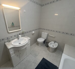 Shower, bidet, towels, toilet paper