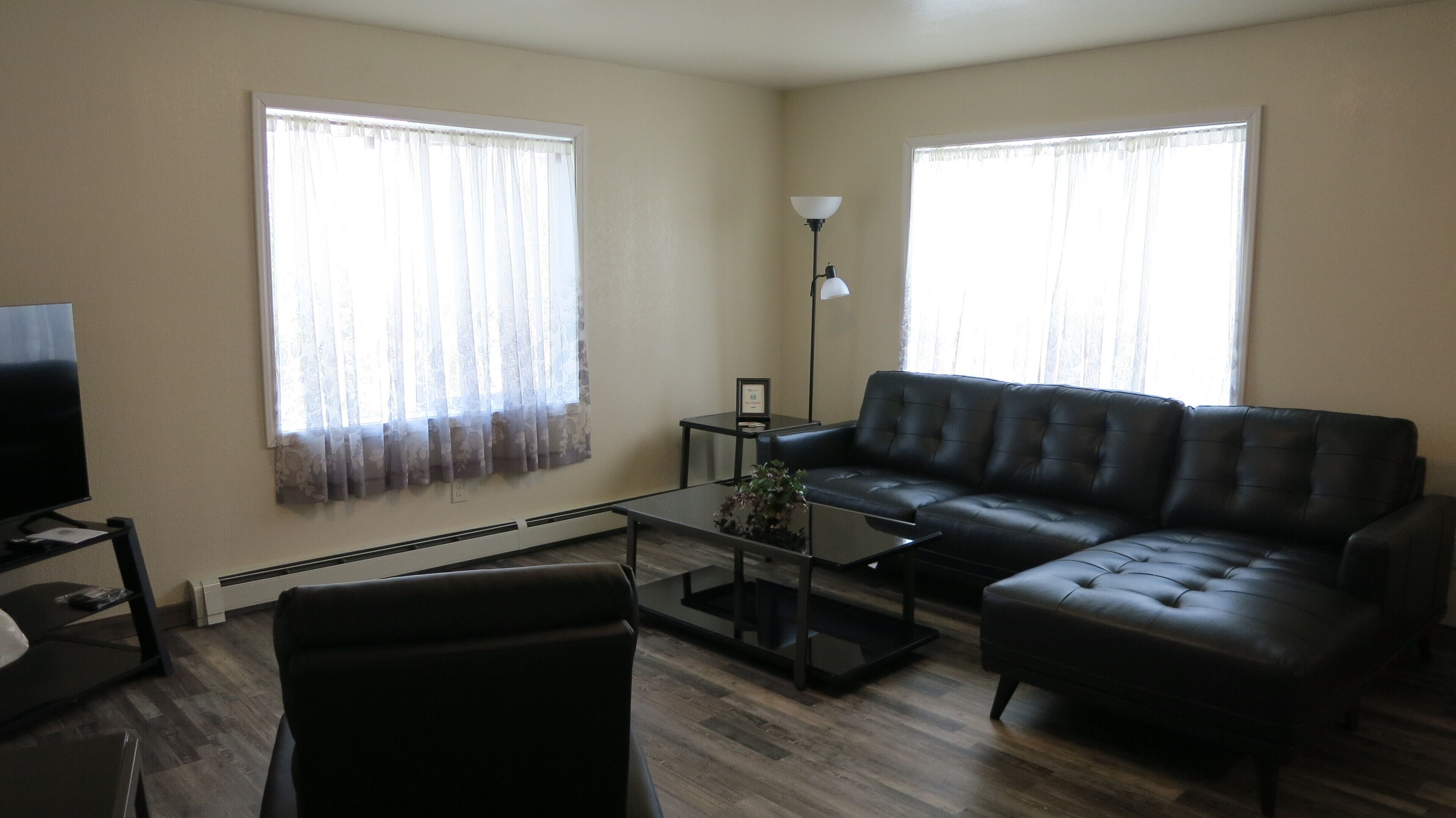 智能电视、DVD 播放器