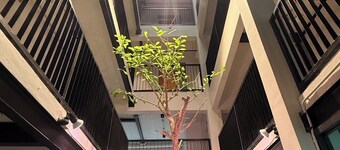 V1 BOUTIQUE HOTEL